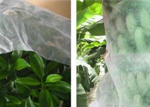  Good Transparency Agriculture Non Woven Fabric Non - Poisonous Frostproof Fabric Manufactures