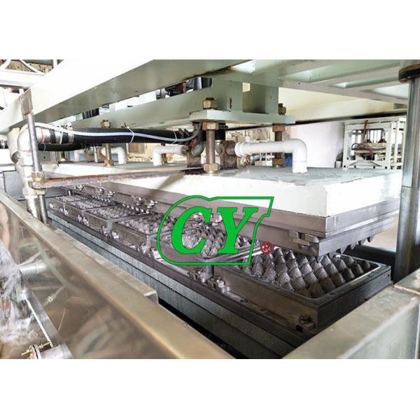 Automatic egg tray machine egg carton machine pulp molded production line