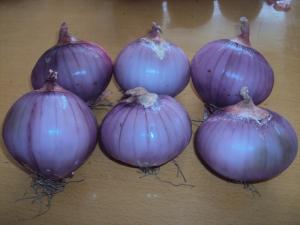  New Crop Red Onion Fresh Red Onion Organic Onion 2016 China Onion Manufactures
