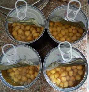  Mild Taste Chickpeas Canned Garbanzo Beans Extremely Versatile Ingredient Manufactures