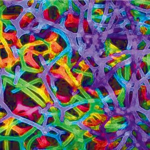 680 Silicone Oil Polyurethane Foaming Additive For Soft Foam