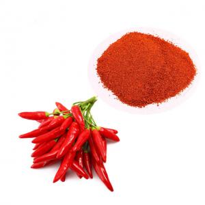  Hot Spicy Red Chilli Powder Manufactures