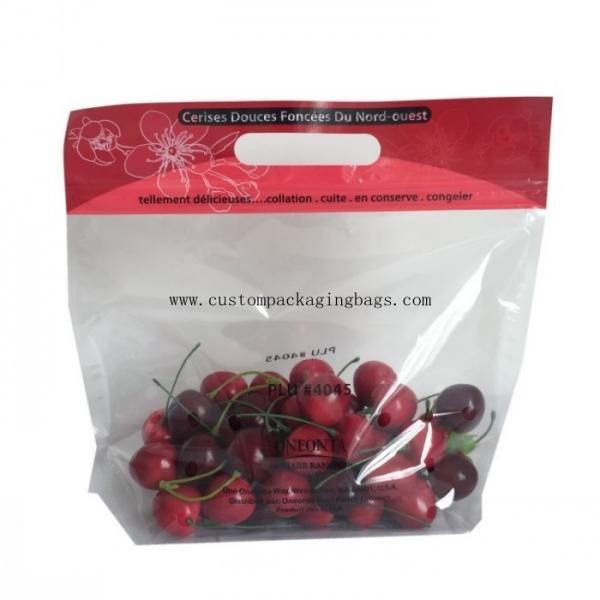 Quality Clear Fruit Packaging Bags Custom Printing 100% Biodegradable Plastic Handle Zipper Lock for sale
