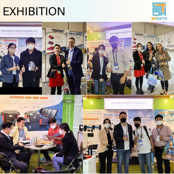 3KVA Pure Sine Wave Inverter Charger 3000W For DC24V 36V AC110V 220V 240V Output Type