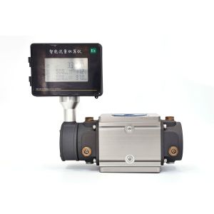  Yunyi Smart Intelligent Digital LPG and Natural Gas Flow Meter Roots Flowmeter OEM Customizable Manufactures