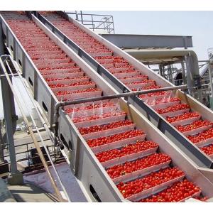 Tomato Sauce / Ketchup Processing Line Customized 1 - 10T/H