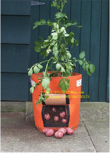 Quality PP Fabric Plant Grow Bags Futuristic Appearance Superb Shock Mitigation Design for sale