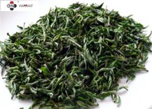 China CAS 84650 60 2 20% Polyphenols Green Tea Leaf Extract on sale