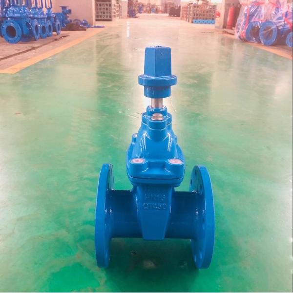 DN250 DN350 DI Gate Valve Ductile Iron PN16 Gate Valve Flange Type