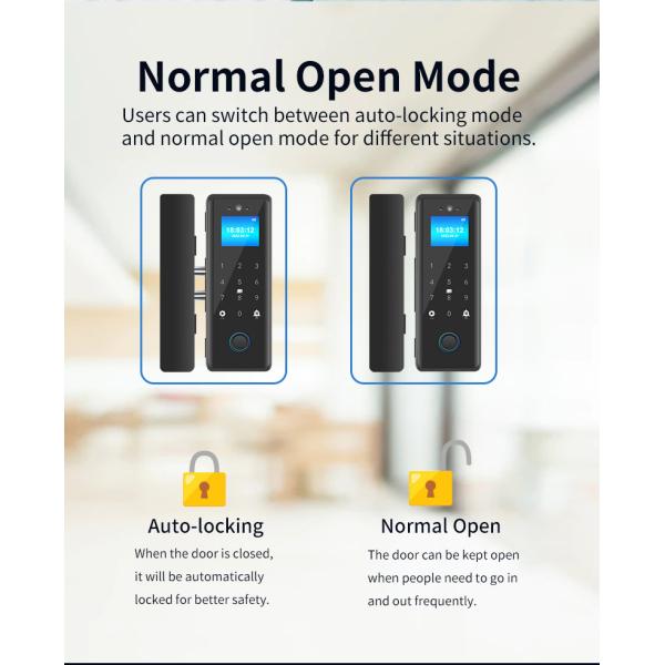 Digital Tuya APP Smart Lock Wifi Finger Touch Front Door Lock