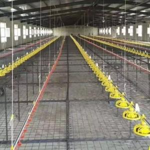  12 Birds 60HZ Poultry Farm Feeding System Manufactures