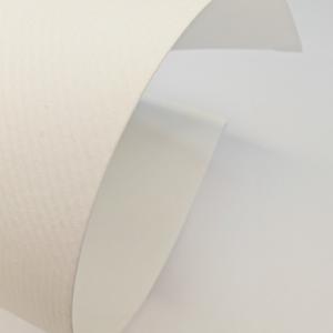  Synthetic Polyester Dust Collector Filter Cloth Media Embossed Manufactures