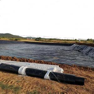  High Surface Hardness HDPE Black Fish Pond Liner Plastic Geomembrane for Fish Farming Manufactures