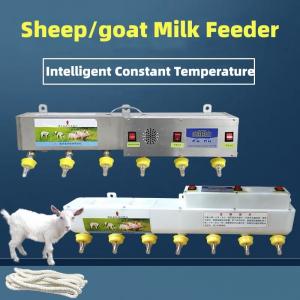 China Piglet Sheep Goat Milk Feeder Equipment Inteligent Constant Heating on sale