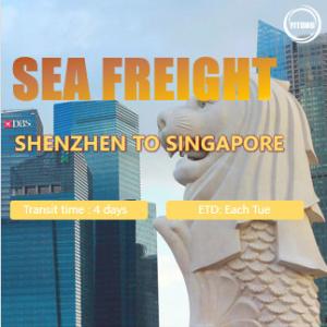  International Sea Freight from Shenzhen to Singapore Port to Port Manufactures
