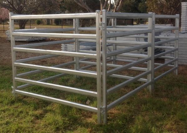 Quality Rot Proof Heavy Duty Cattle Panel 40x40mm Square Galvanized Tube Livestock for sale