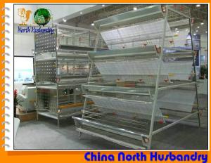 China Poultry equipment for chicken farming Tecno Poultry Equipment on sale