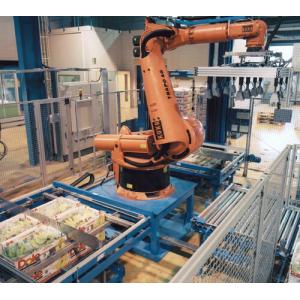 Rotary Scraping Robot Palletizing Equipment For Cartons Cans Containers