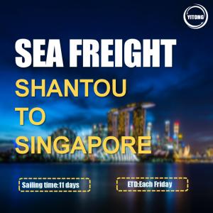  Shantou To Singapore International Sea Transportation service Direct Sailing Manufactures