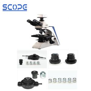 Buy cheap 10X-22mm Eyepiece Laboratory Biological Microscope Quintuple turret Phase from wholesalers