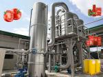 High Temperature Resistance Tomato Processing Line with Customized Capacity and