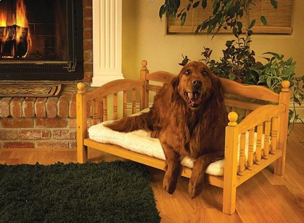Quality Pet beds, dog bed sofa, Pet house for sale