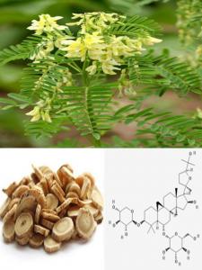 China Manufacturer supply Astragaloside IV 0.3%-98%, CAS No.: 84687-43-4, 100% Astragalus Root Extract, Pharma standard on sale