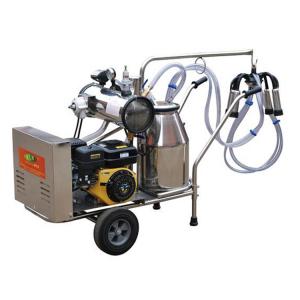  50KPa Single Bucket Trolley Milking Machine With Gasoline Engine Manufactures