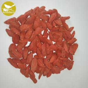  Dried Super Grade Organic Goji Wolfberry red medlar Organic Natural Chinese wolfberry medlar High Quality Manufactures