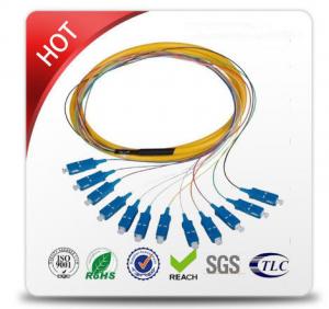  sc sc patch cord Single Mode fiber optic patch cord 10m length  PVC material Outer Jacket  diammeter 3.0MM Manufactures