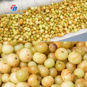  Brush Potato Washing And Peeling Machine SS Commercial Vegetable Sealing Cover Type Manufactures