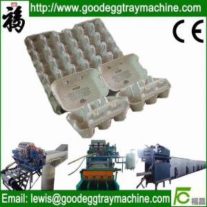 China Pulp egg tray moulding machine on sale