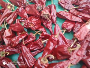China Grade A 3000-5000shu Jinta Chilli Pepper With Sweet Taste on sale