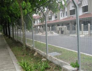 China Heavy Duty Wire Mesh Fence Powder Coated Metal Mesh Fence In Garden on sale