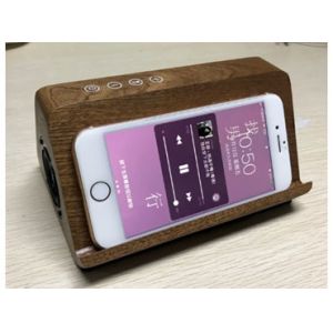  Bluetooth Rechargeable Portable Speaker , Battery Powered Bluetooth Speaker Manufactures