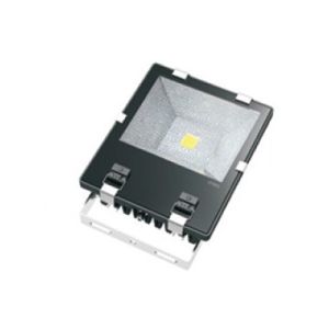  led flood light Manufactures