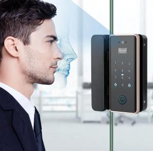  3D Face Digital Smart Glass Door Lock Tuya Fingerprint Password IC Card Access Manufactures