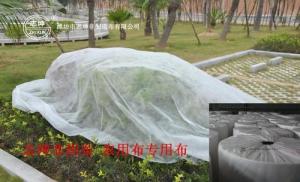  100% Polypropylene Agriculture Non Woven Fabric Weed Control Ground Cover Net Mesh Cloth Manufactures