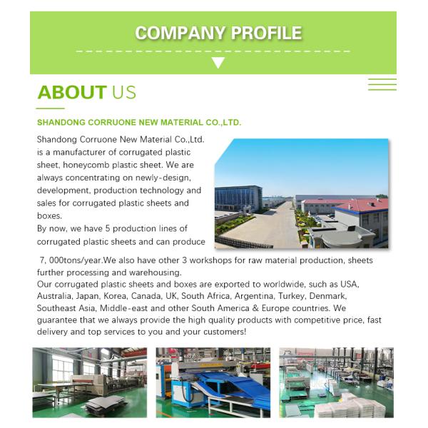 Corruone Waterproof Folding Polypropylene Corrugated Plastic Fruits Vegetables Asparagus/Ginger/Taro/Okra Packing box