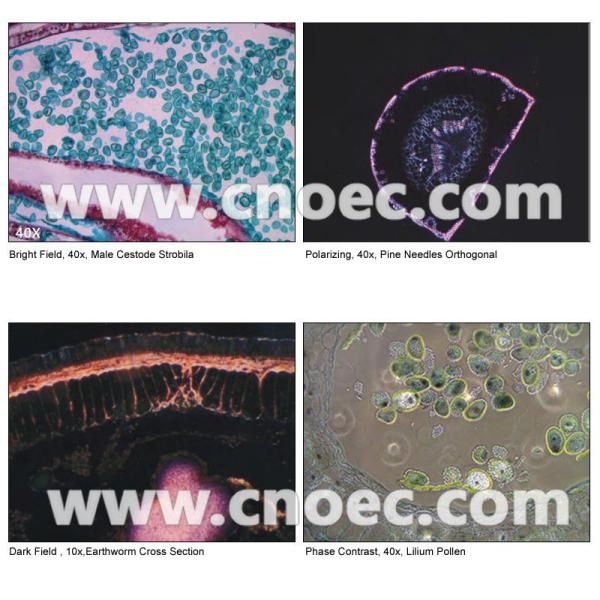 Fluorescence / Polarizing Digital Optical Microscope , CE A31.0907-B