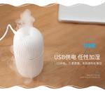 voice control ultrasonic aroma diffuser for essential oil and aromatherapy