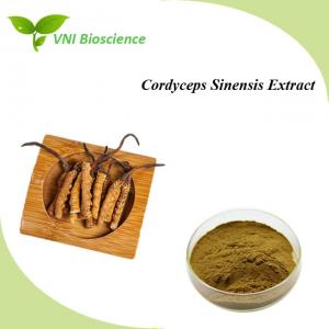 China Natural Organic Cordyceps Sinensis Mushroom Extract Kosher Certified on sale
