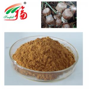 Agaricus Blazei Extract 20% Polysaccharides For Functional Food Manufactures
