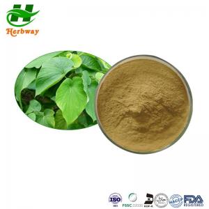  Kava Extract Powder HPLC 30% Kavalactone CAS 9000-38-8 Piper Methysticum Extract Manufactures