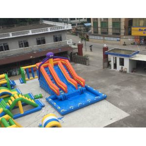 Octopus Inflatable Water Slide With Pool Amusement Park