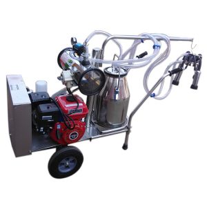 50KPa Single Bucket Trolley Milking Machine With Gasoline Engine