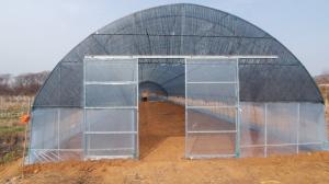 China HDPE Covering Tunnel Greenhouse Single Span Greenhouse Humidity 50%-90% on sale
