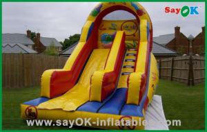 China Giant Bouncy Slide Commercial Playground Inflatable Bouncer Slide Plato PVC Air Bounce House Water Slide on sale