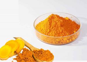China Food Grade Yellow Pigment Curcuma longa Root Extract Curcumin Powder on sale