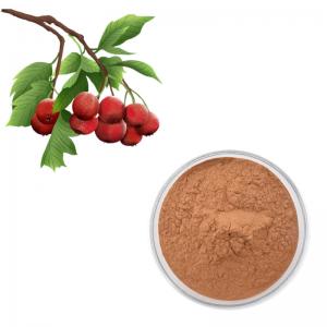  Hawthorn Berry Extract Flavones 80% Powder Crataegus Leaf Extract Manufactures